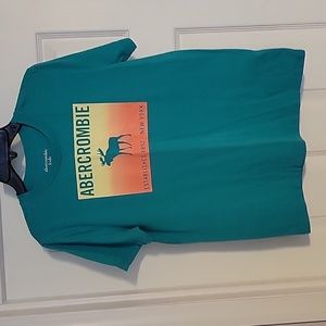 Abercrombie Kids Teal Short Sleeve Tee